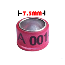 Product 5